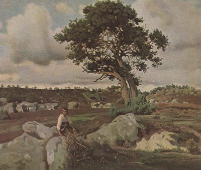 Foresta di Fontainebleau da Jean Baptiste Camille Corot